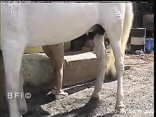 Skinny brunette decided to taste a stallion's dick