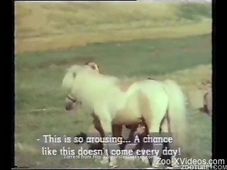 Awesome pony and sweet girls are enjoying farm bestiality XXX