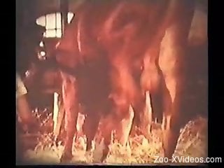 Vintage scenes of sex with animals and hot women