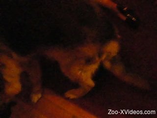 Greedy animal enjoying hardcore vaginal sex with a lady