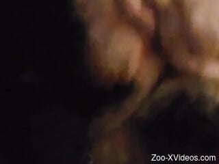 POV bulldog blowjob from the sexiest beast ever
